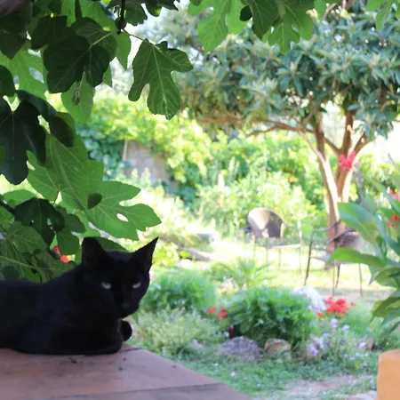 Varias Art House * Kallirákhi