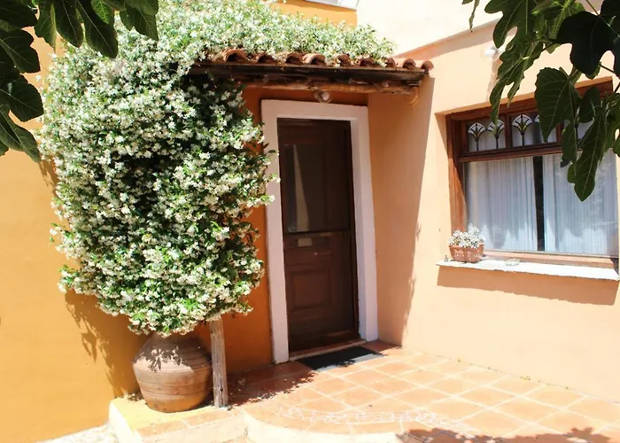 Varias Art House