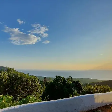 Varias Art House Daire *