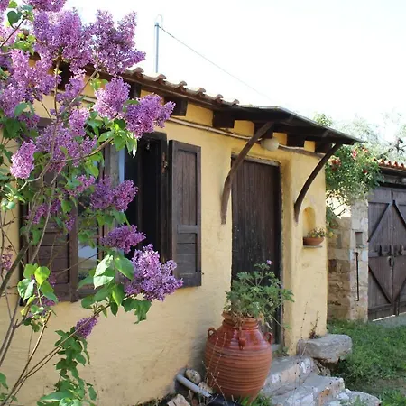 Varias Art House Daire *